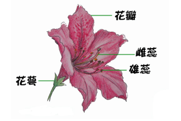 AI1.png (740×349) (wuzhentao.com)